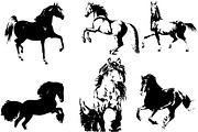 Hand drawn horse collection, vector, an Animal Illustration by AnastasiyaOleynik (Thumbnail 11 of 11)