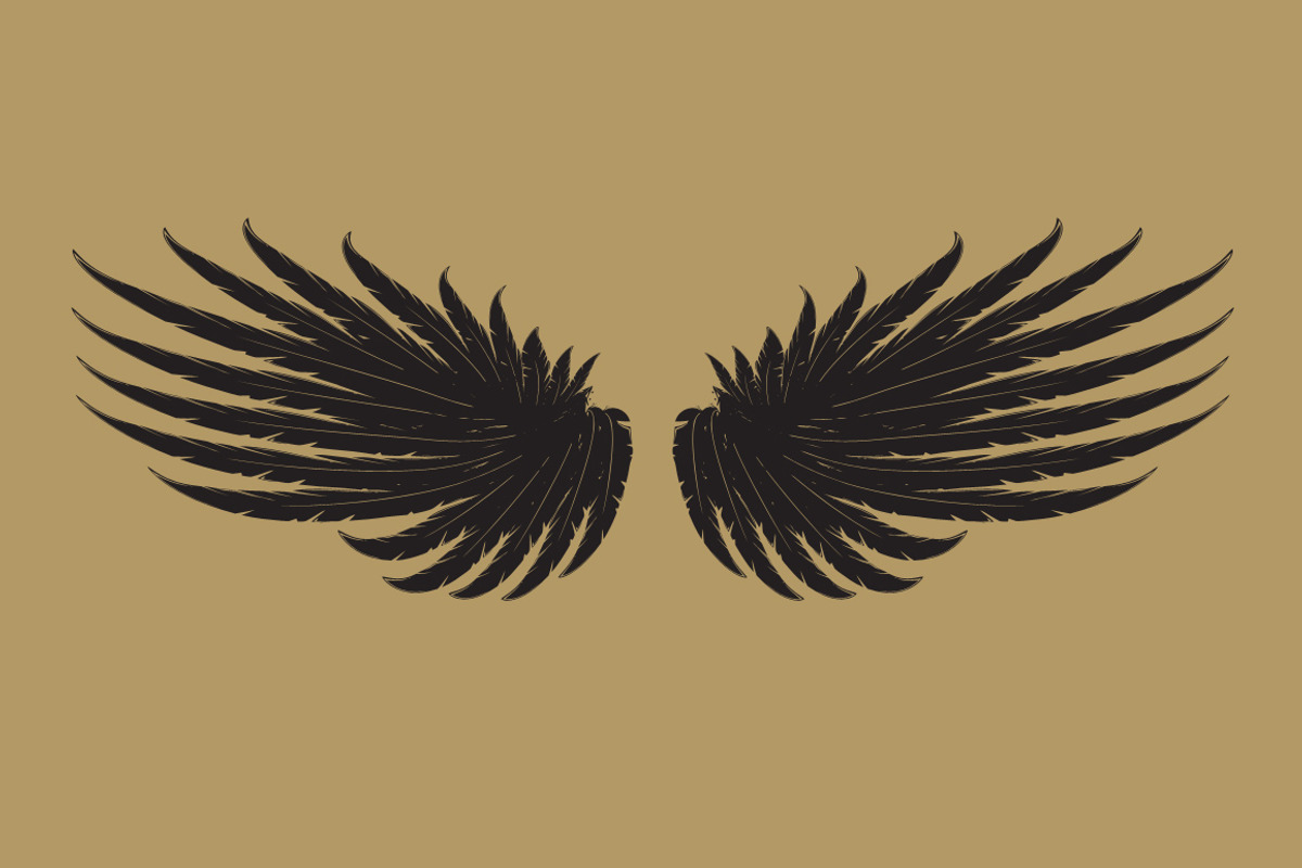 160 Pairs of Vector Wings, an Object Graphic by Damien (Photo 5 of 17)