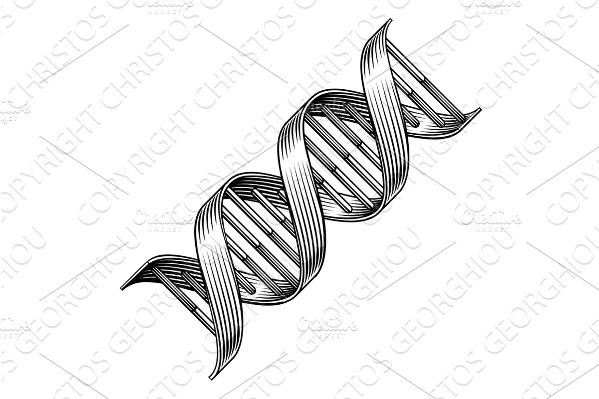 DNA Double Helix Strand Spiral, an Illustration by Christos Georghiou