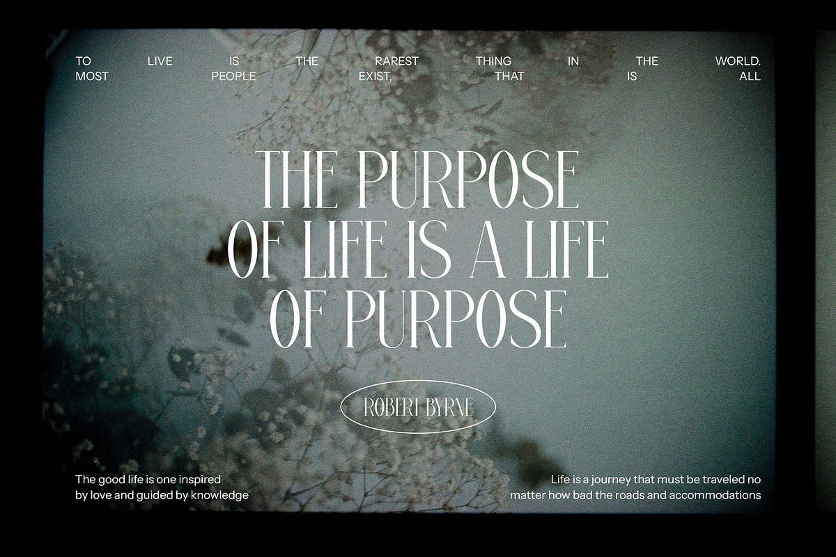 Rogifta Modern Serif Font, a Serif Font by Graphicxell (Photo 4 of 8)