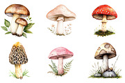 Rustic Spring Mushrooms Clipart, an Illustration by SinaCreation (Thumbnail 2 of 5)