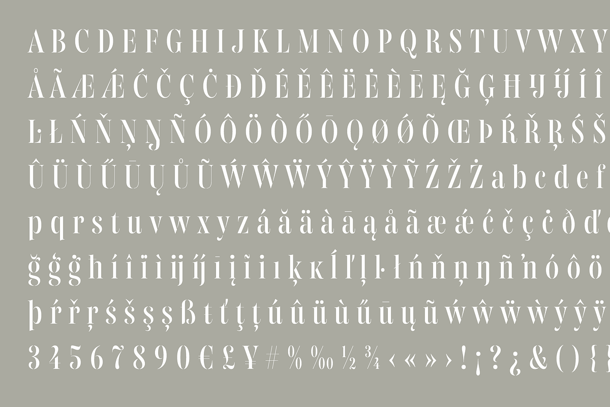 Gabriela Stencil Condensed, a Font by Lechuga Type (Photo 15 of 17)