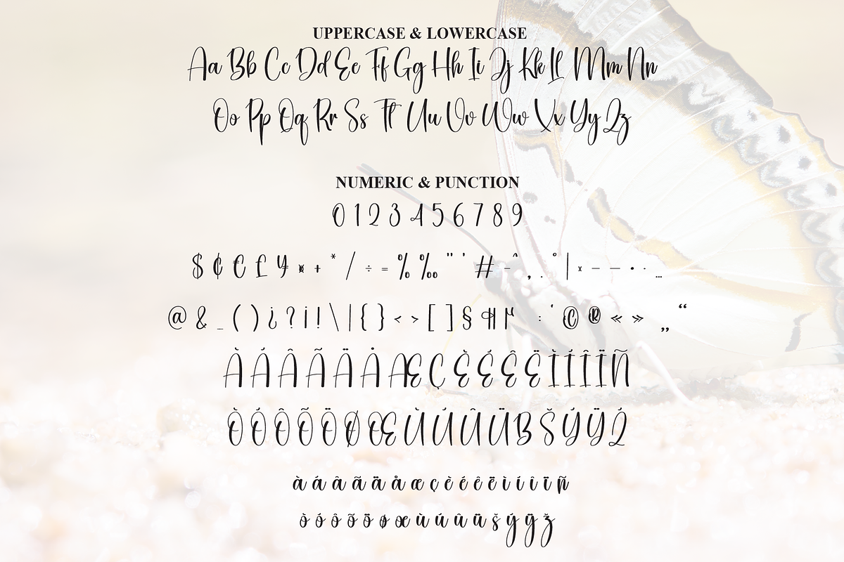 Butterflies | Script Font, a Handwritten Font by Scratchones (Photo 7 of 9)