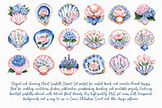 Floral Seashell Clipart set, an Illustration by Libby Wishes (Thumbnail 3 of 7)