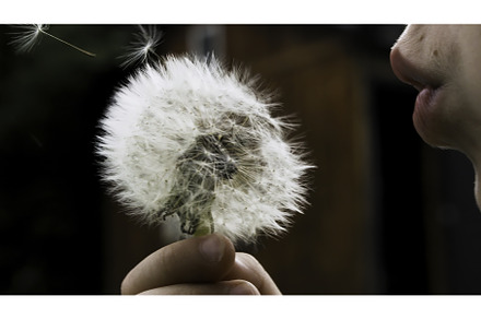 Slow motion. Creative. A child, a Nature Photo by Media Whale Stock