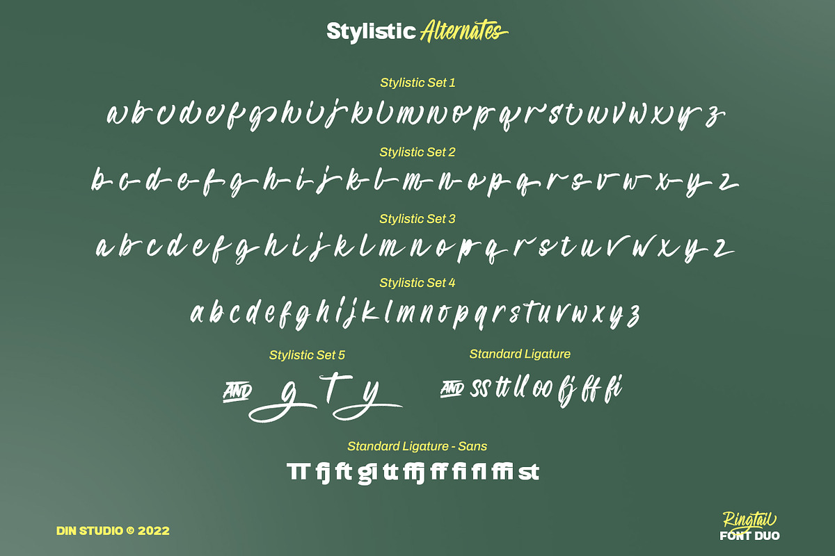 Ringtail, a Sans Serif Font by din-studio.com (Photo 9 of 10)