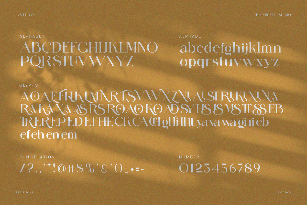 Astero Elegant Ligature Serif Font, a Serif Font by Graphicxell (Photo 8 of 8)