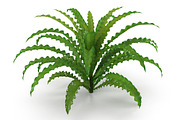 Pogostemon helferi, a Plants & Tree 3D Model by AndrewWhite (Thumbnail 1 of 9)