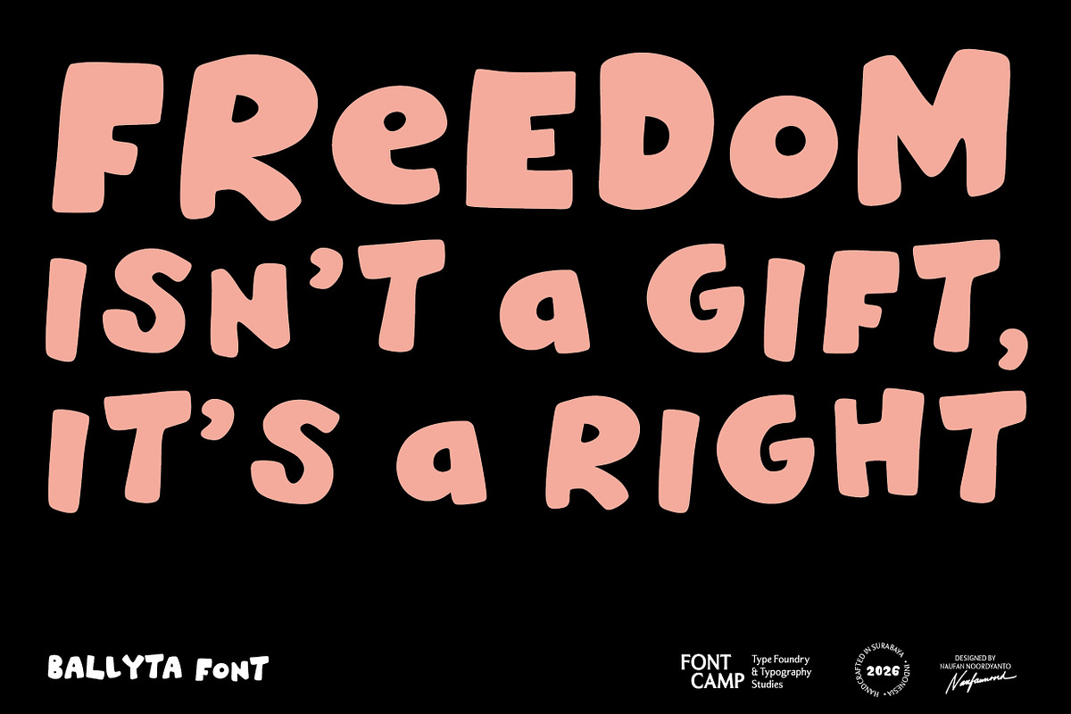 Ballyta Font, a Handwritten Font by Fontcamp Type Foundry (Photo 11 of 18)