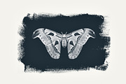 Digital Cyanotype Effect, a Brushes & More by Foto Rx Co. (Thumbnail 8 of 8)