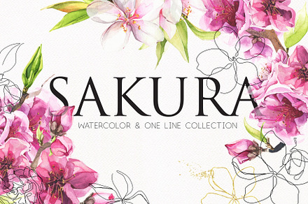 Watercolor & Line art SAKURA flowers