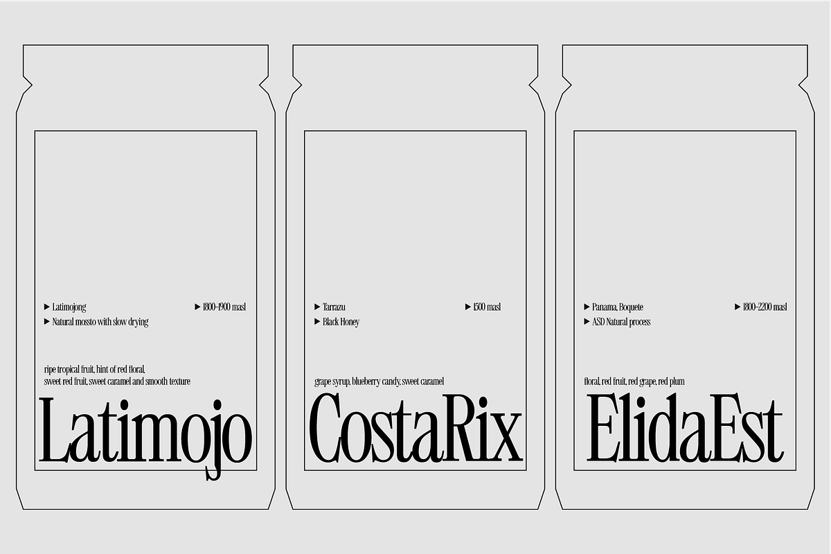 403 Mesapholic Modern Serif, a Serif Font by 403 Type Foundry (Photo 7 of 16)