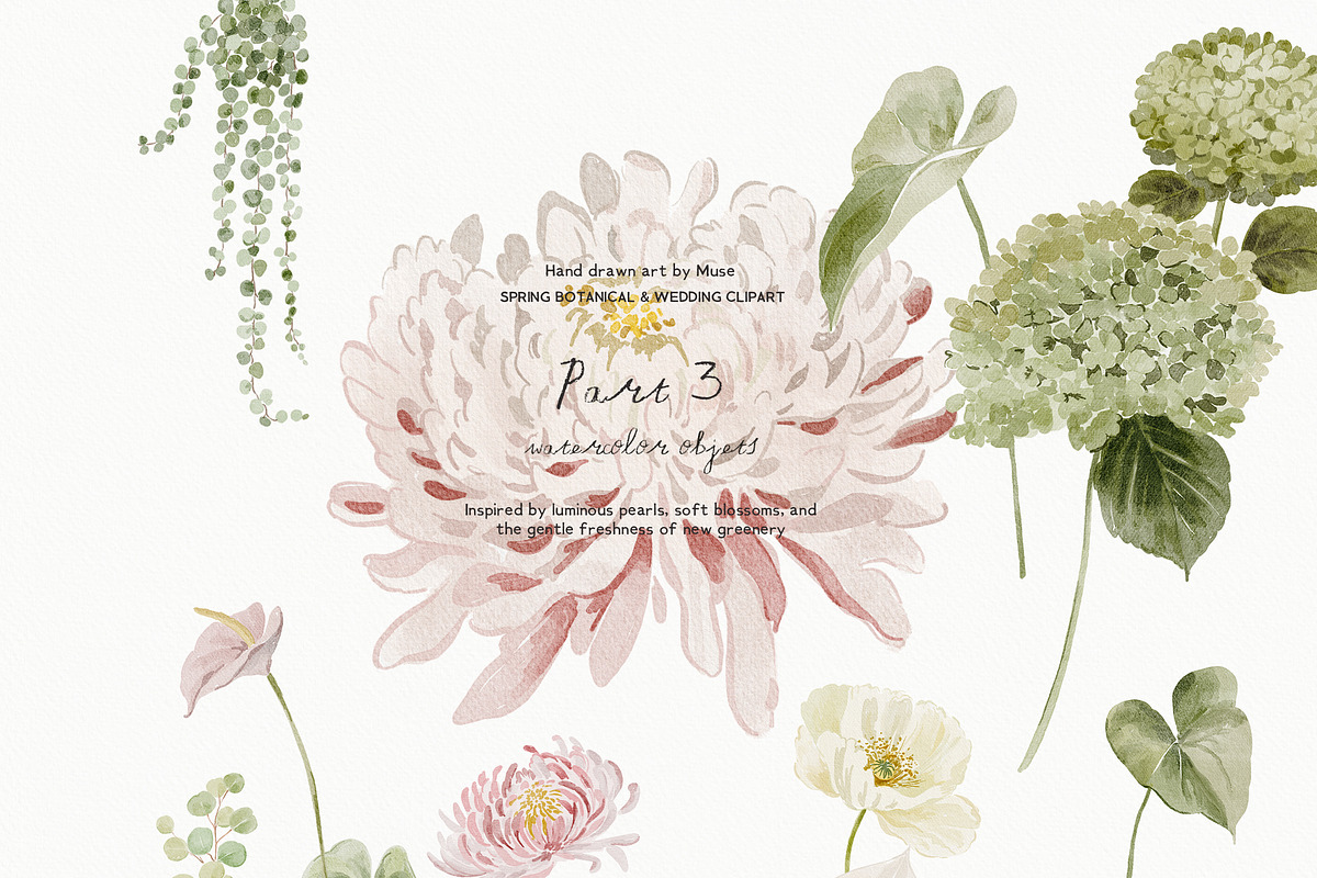 Éclat de Printemps Spring Clipart, a Decorative Illustration by Muse Artist (Photo 9 of 15)