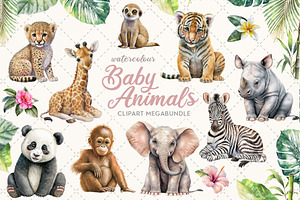 Baby Animals Megabundle