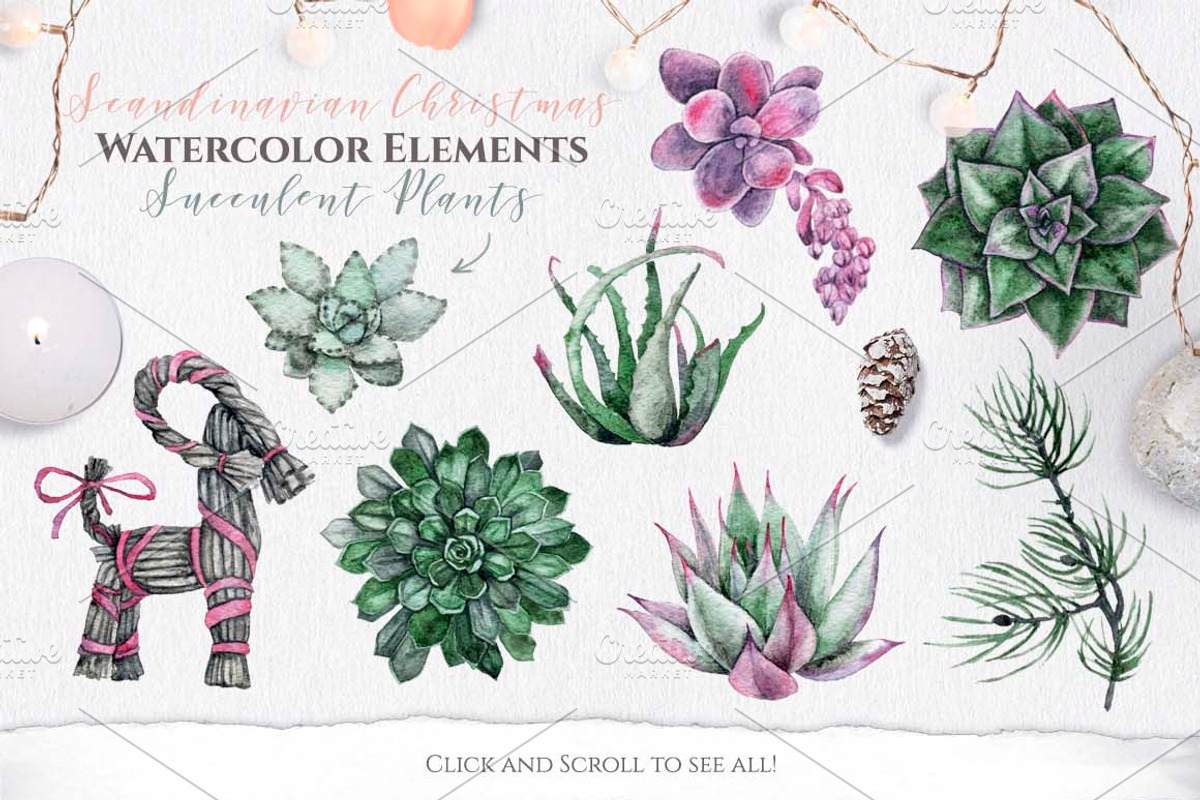 Watercolor Scandinavian Succulents, an Illustration by Fluffy Unicorn (Photo 2 of 11)