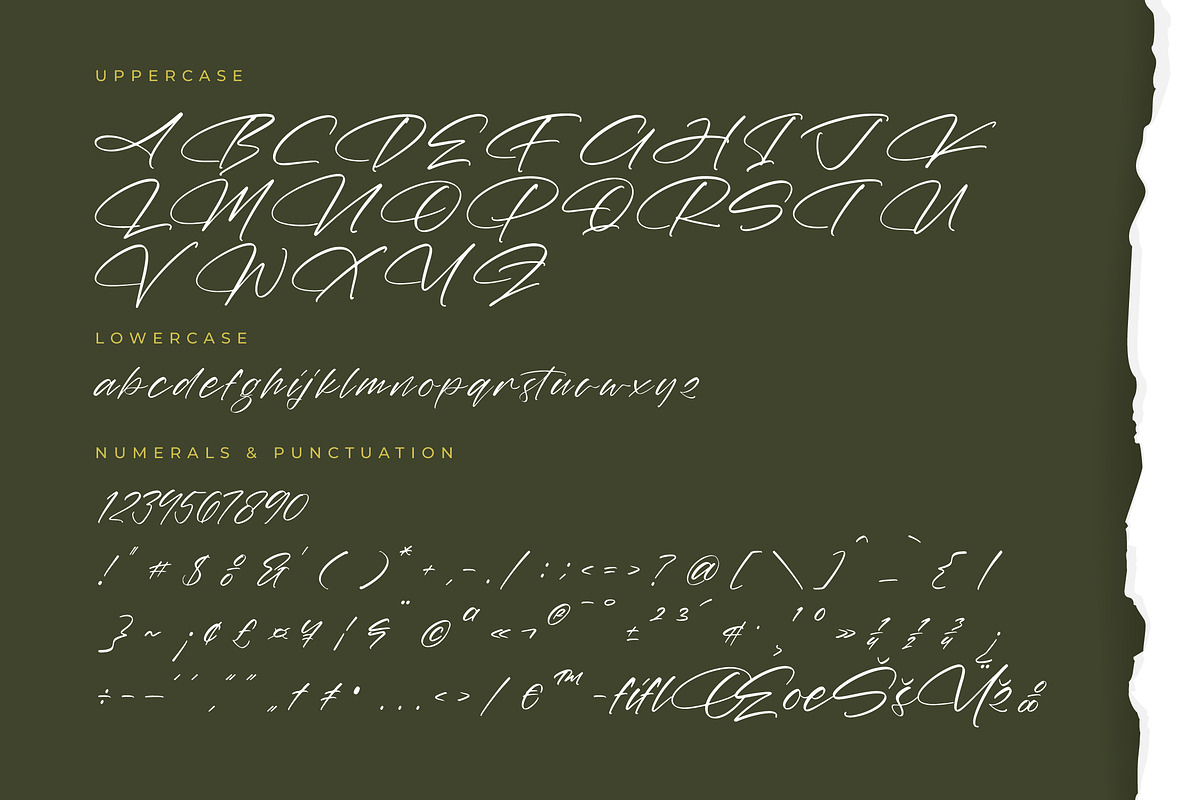 Marie Glachith Beautiful Script Font, a Script Font by Letterena Studios Script (Photo 13 of 15)