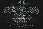 Alpenttera, a Script Font by pineungtype (Thumbnail 9 of 9)