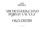 Type Prodigy - serif logo font, a Serif Font by VP Fonts (Thumbnail 14 of 24)