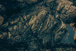 Coastal rocks stock photo containing acadia and national park