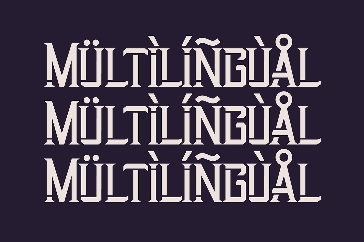 Startrail Futuristic Retro Family, a Serif Font by Lettertype Studio (Photo 13 of 15)