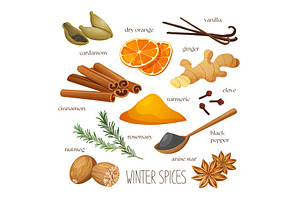Illustration of winter spices