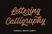 Candale Script, a Script Font by Suby Studio (Thumbnail 6 of 8)