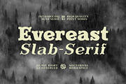 Evereast Slab Serif, a Slab Serif Font by Nocturnal Workspace (Thumbnail 1 of 9)