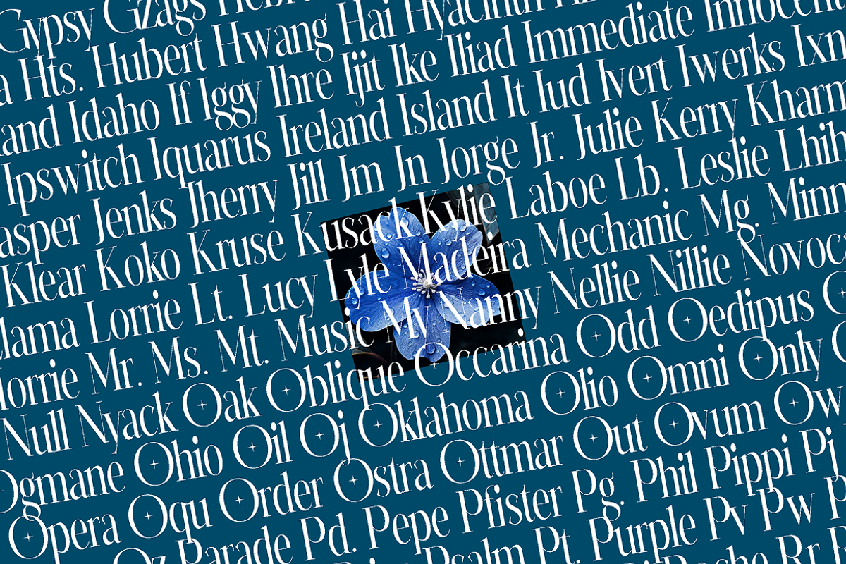 Elegant Modern Serif Font, a Serif Font by Simetrica Labs (Photo 2 of 7)