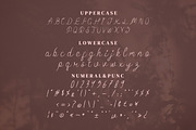 Fothem Script Fonts, a Script Font by mahstudios (Thumbnail 11 of 14)