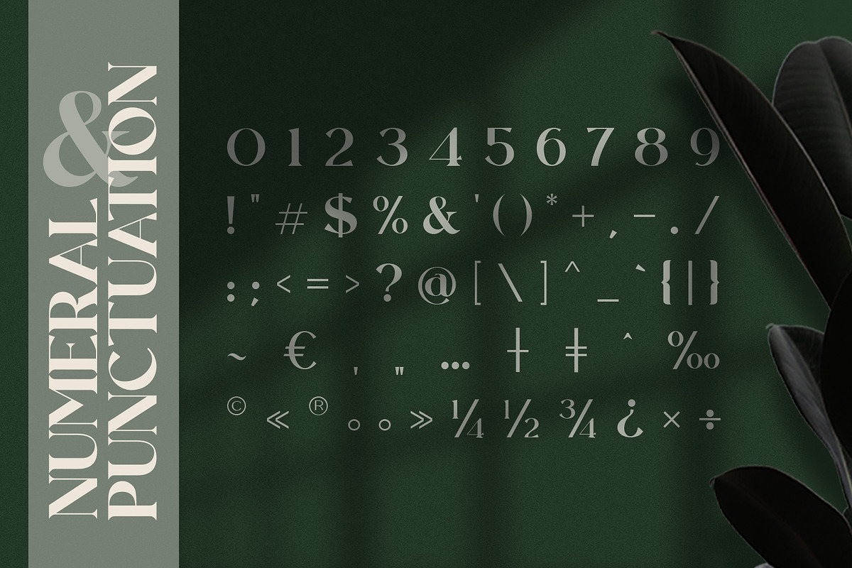 Rollgates Fabulous, a Font by Cotbada_studio (Photo 11 of 12)