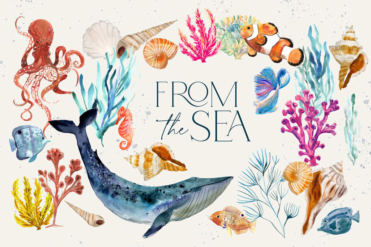 From The Sea Ocean Clipart, an Illustration by Twigs and Twine (Photo 12 of 12)