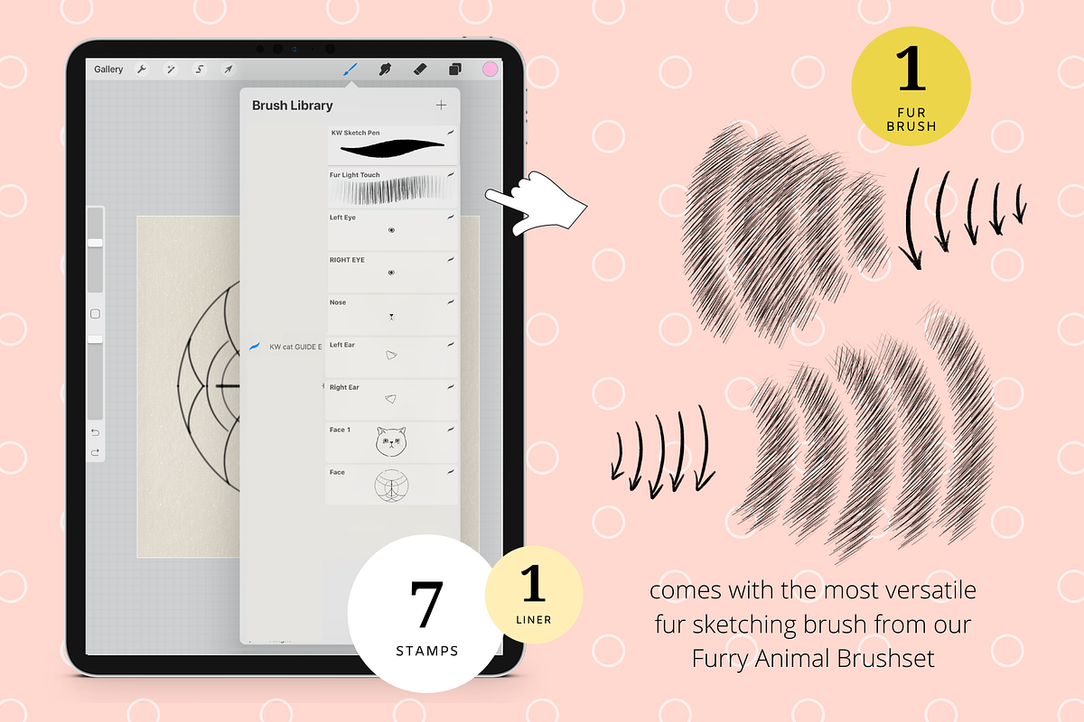 Exotic Shorthair Drawing Guide, a Brush Add-On by Artbykimmyw (Photo 2 of 4)