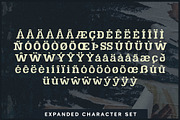 Docket Distressed Typewriter, a Slab Serif Font by Parker Creative (Thumbnail 7 of 11)