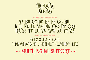 Holiday Spring - Display Serif Font