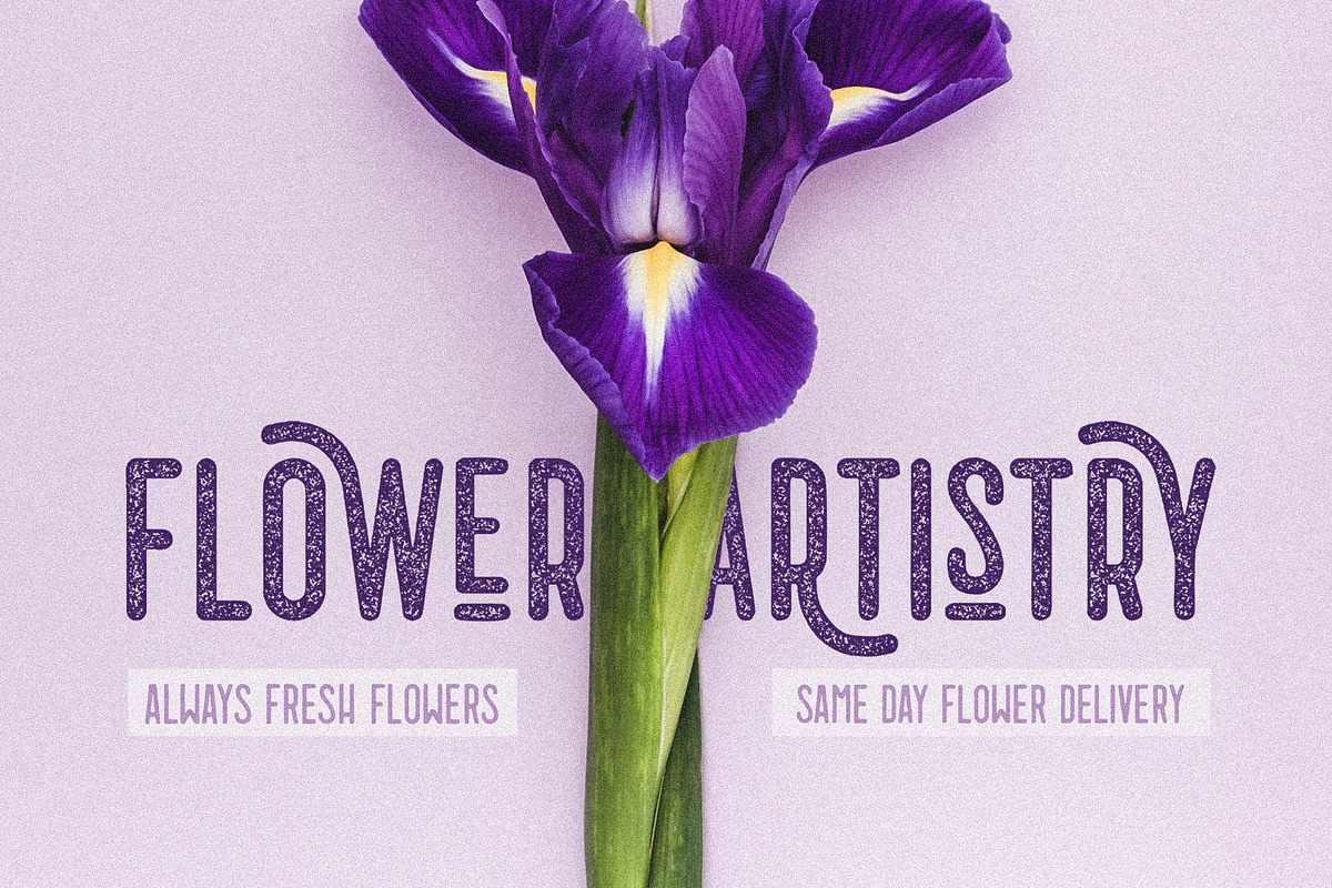 3 Fonts Mango Tango Collection preview 2