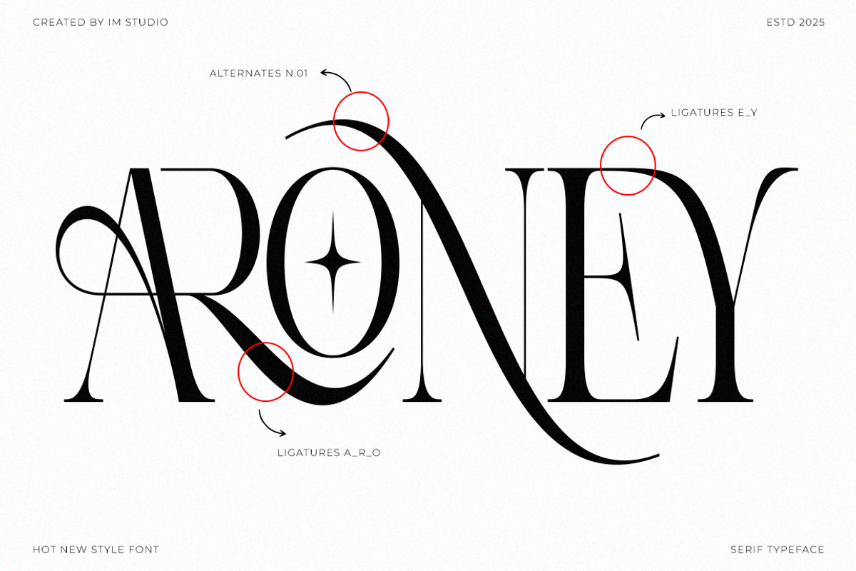 Aroney Family | 5 Style Fonts, a Serif Font by IM Studio (Photo 12 of 12)