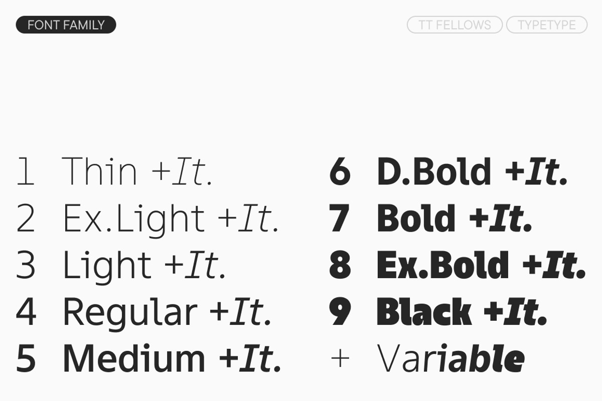 TT Fellows, a Sans Serif Font by TypeType (Photo 4 of 15)
