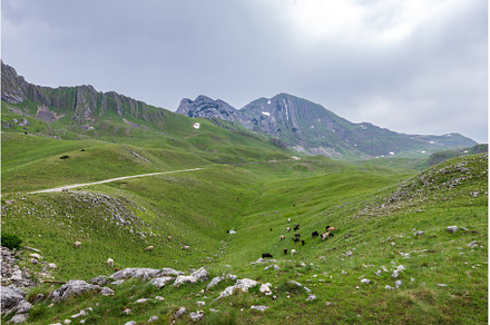 Green valley in mountains of, a Nature Photo by serkum