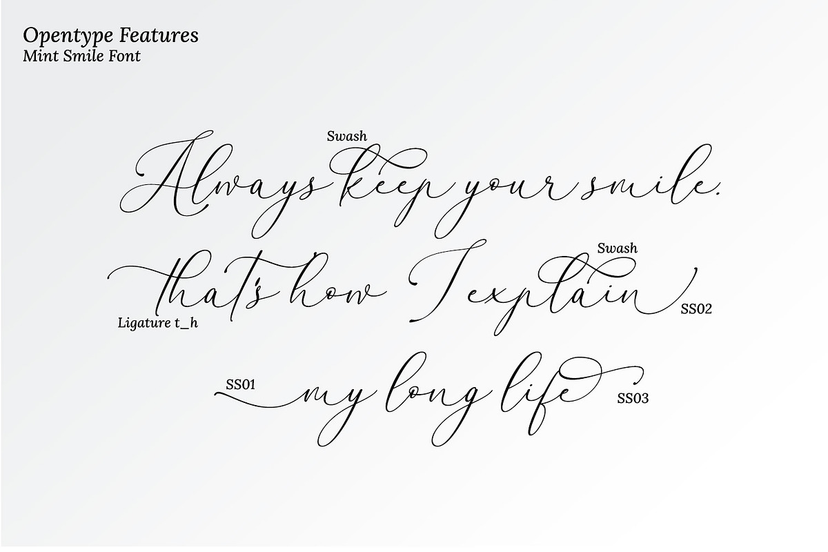 Mint Smiles, a Script Font by Nathatype (Photo 8 of 10)