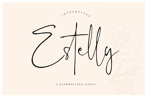 Estelly Stylish Signature Business preview 7