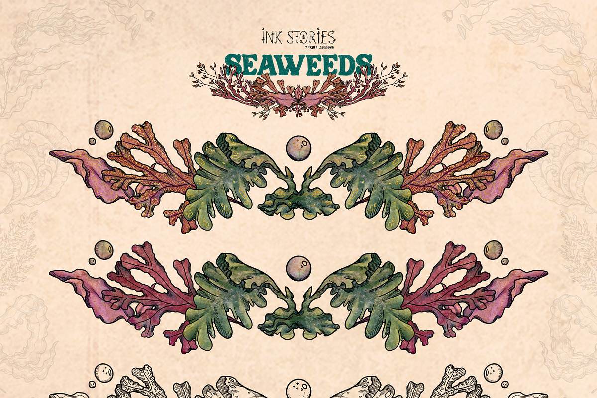 Seaweeds, an Object Illustration by Ink Stories (Photo 19 of 24)