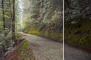 MILLION OF GREEN-Set of 20presets Lr, an Action Add-On by Graphics, Presets, Photos (Thumbnail 12 of 21)