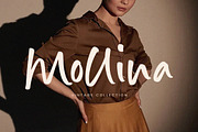 Diamond Days Font, a Handwritten Font by Timurtype (Thumbnail 5 of 7)
