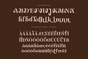 Merifto Modern Serif Font, a Serif Font by Storytype Studio (Thumbnail 14 of 15)