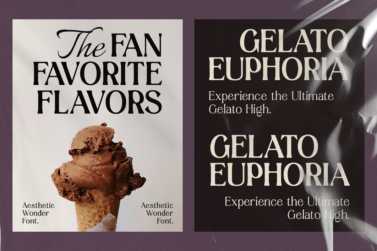 Aesthetic Wonder - Modern Aesthetic, a Serif Font by Prioritype Co (Photo 15 of 20)