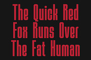 CS Gardner – Condensed Font, a Sans Serif Font by Craft Supply Co. (Thumbnail 3 of 8)