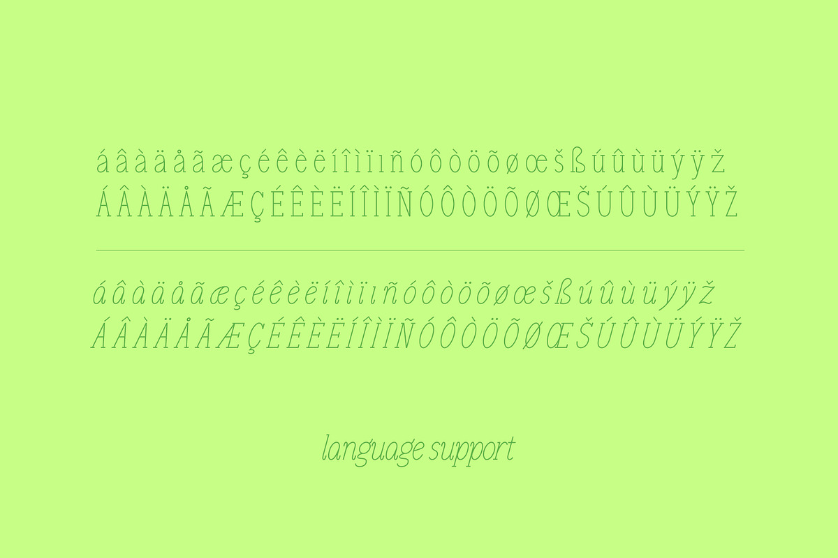 Newbie, a Serif Font by HalfAwakeJake (Photo 7 of 7)