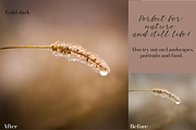 Golden Lightroom Presets, an Action Add-On by CL Creative Studio (Thumbnail 4 of 9)