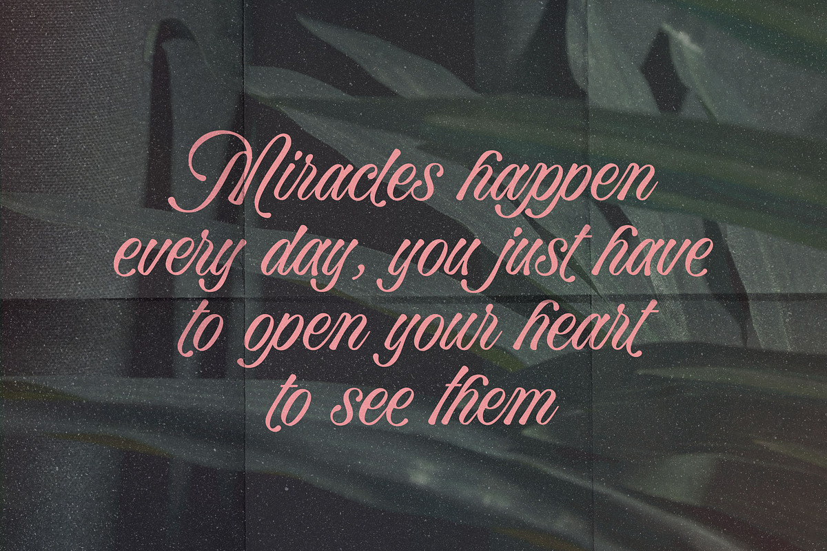 Bella Elegante - Calligraphy Font, a Script Font by Subectype Studio (Photo 2 of 10)