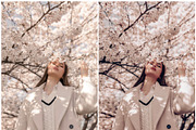20 Lightroom Presets Spring Time p1, a Preset Add-On by PerfectStudioPresets (Thumbnail 8 of 10)